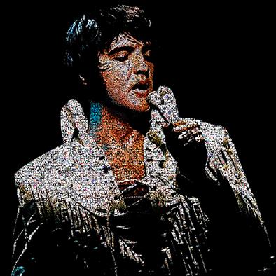 Elvis II 2.0